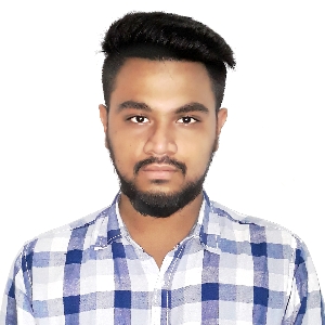 Sheikh Fardin Hossen Araf